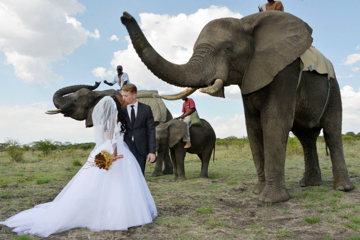 Dream African Wedding Photos